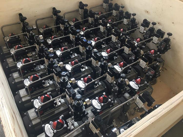 Pneumatic Ball Valve packing picture