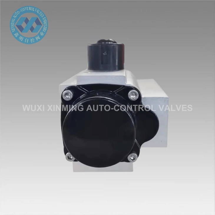 Harsh Conditions Demand Our Reliability Pneumatic Actuators